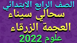 شرح سحالي سيناء العجمة الزرقاء علوم للصف الرابع الابتدائي المنهج الجديدالترم الأول 2022 حل قطرالندى 