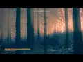 Download Lagu Melodic \u0026 Progressive Breakbeat - September 2025 | Mixed by BLADES