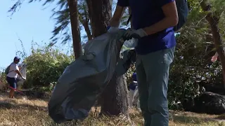 EU in Mauritius - Beach clean up day 2024 highlights