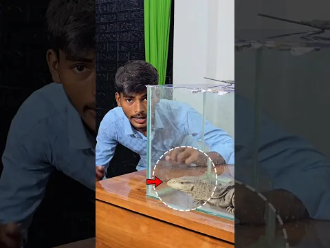 आपके गांव में किस नाम से जानते हैं!💀🔥✅️ #monitorlizard #lizard