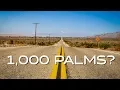 A Thousand Palms ROAD TRIP