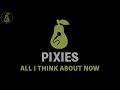 Pixies - All I Think About Now (Karaoke)