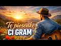 Lagu Tę piosenkę Ci gram, to dla Ciebie kochana…vol.2 DANCE REMIX