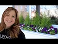 Planting Window Boxes for Spring Garden Answer