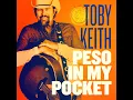 She's Drinkin Again - Toby Keith
