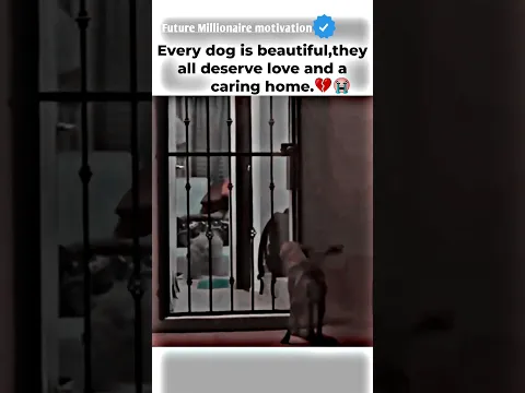 They also deserve...💔😭 motivational status #motivation #whatsappstatus #youtube #attitude