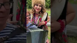 Частушка на баяне За Родину 