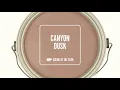 BEHR 2021 Color of the Year Canyon Dusk