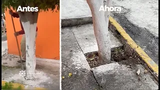 Agradecemos a Don Verg@xs