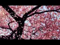 Download Lagu Instrumental Music: Kaoru Wada - Affections Touching Across Time II