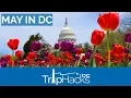 Tips for Visiting Washington DC in May