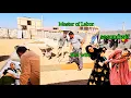 Download Lagu Heshmat Begins Building a New Home 🏠 The Master Builder Arrives to Help!
