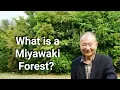 Download Lagu Miyawaki Method of Plantation I Afforestation I Akira Miyawaki I Man Made Forest I urban forest
