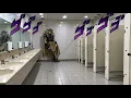 "SPIN" But in Public Toilet | SBR NEW OPENING #sbr