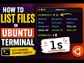 Linux Basics How to Use the ls Command in Ubuntu