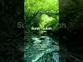 Download Lagu surah Toubah #quranictranslation #shorts #growmyaccount