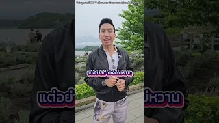 สาเหตุหลักที่ทำให้ไตเสื่อมเร็วขึ้น คืออะไร และควรจัดการอย่างไร