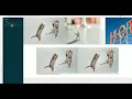 Horizontally Scrollable Image Gallery in Cornerstone Pro Content Builder