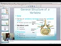 Axial Skeleton Part 1 of 3