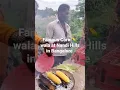 Famous Corn 🌽 wala at Nandi hills in Bangalore.