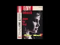 Download Lagu Jangan Kau Pergi Vocal Elvy Sukaesih