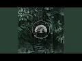 Download Lagu Caerulea