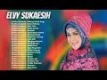 CINTA DALAM DERITA - ELVI SUKAESIH