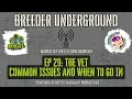 Episode 29 - The Vet Common Issues and When to Go In