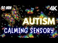 Download Lagu Autism Calming Sensory Music Tension Release Butterfly Visuals
