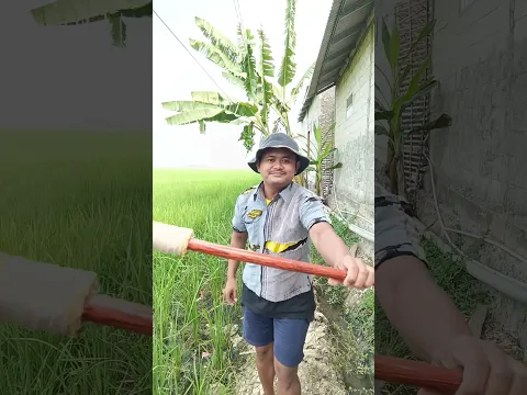 Pengen kuda lumping #shorts