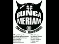 Download Lagu Bunga Meriam Full Album Punk Rock