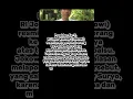 Download Lagu makin panas kasus ijazah #jokowi #shorts