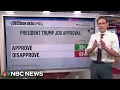 Lagu Kornacki: ‘Large number’ of independents strongly disapprove of Trump’s immigration agenda