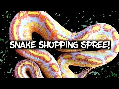 Download MP3 Snake shopping spree! With an unlimited budget!