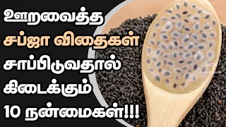 top 10 health benefits of sabja seeds in tamil basil seeds natural body coolant summer food