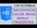 CSS Tutorials for Beginners - 12