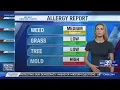 Thursday s Allergy Report Visibility