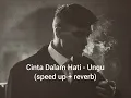Download Lagu UNGU - CINTA DALAM HATI (speed up)