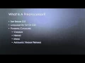 Sass Beginner Tutorial What Are Preprocessors