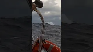 Riding the Ocean Swell 🌊