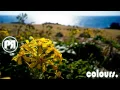 Alex Adair - Make Me Feel Better (Don Diablo & CID Remix)