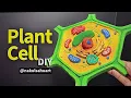 How to Make a Plant Cell Model Using Cardboard Easy Biology Science Project School Nakul Sahu Art