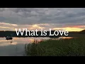 Download Lagu Jaymes Young - What is Love (TikTok remix by Siel)(Baby don't hurt me no more)