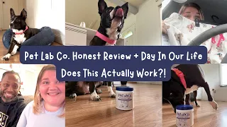 PetLab Co Review Do Probiotic Chews Help Itching In Dogs DITL Vlog