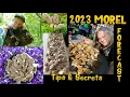 2023 MOREL MUSHROOMS FORECAST Tips Secrets Festivals FIRST USA MOREL FOUND