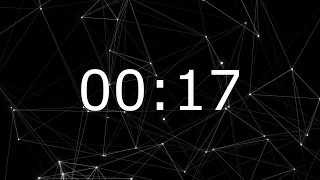 17 SECOND TIMER ALARM