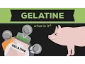 What is Gelatine Gelatin Jello