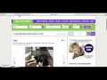 How to Search for a Pet Using Petfinder