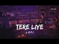 Lagu Tere Liye - Lofi | Atif Aslam, Shreya Ghoshal | Prince | SR Lofi