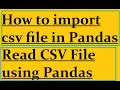 How to import csv file in Pandas